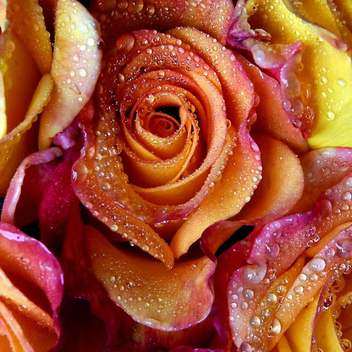 Hd-139436-ascw139436