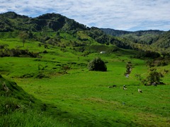 Colombia is the greenest place we`ve ever seen.