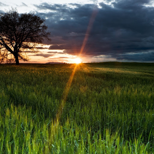 Hd-166978-ascw166978