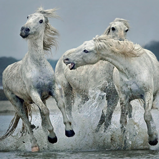 Hd-169854-ascw169854