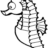Seahorse-001.jpg