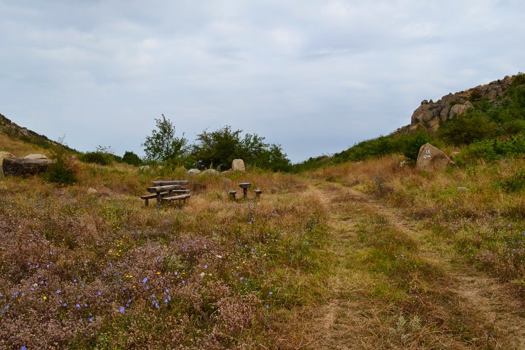 [DSC_63823.jpg]