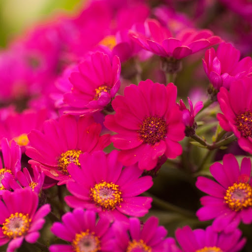 Hd-142645-ascw142645