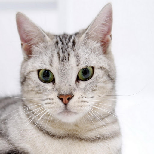 Hd-178305-ascw178305