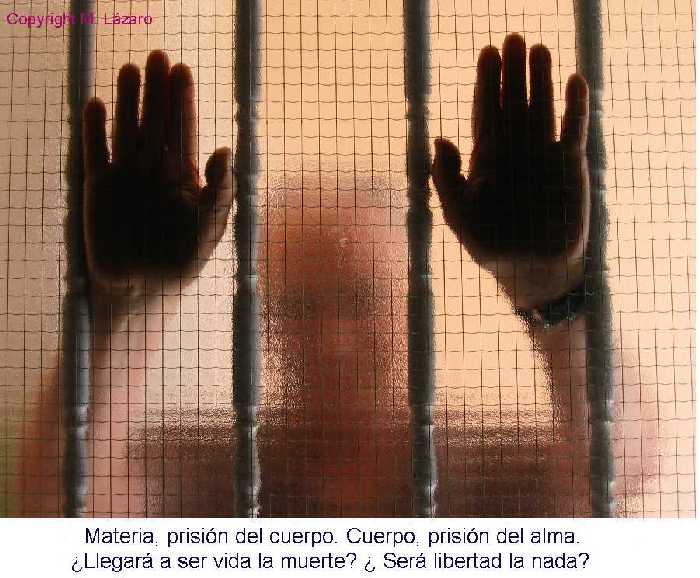 Las Personas Calladas Poseen Las Mentes Más Ruidosas
