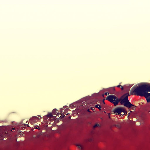 Hd-139845-ascw139845