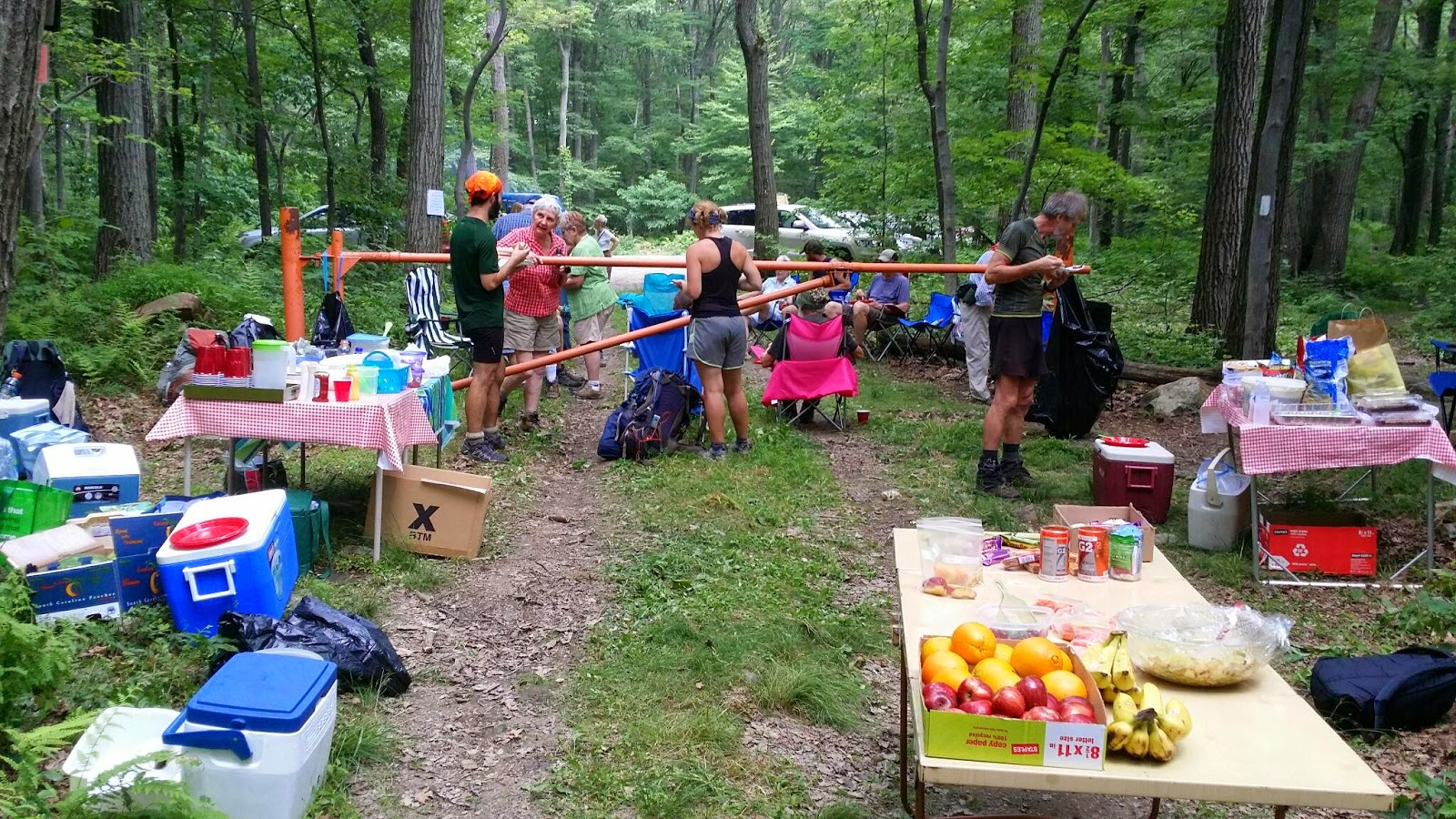 Joe Appalachian Trail 2014 3.7. Tag 77 Hawk Mountain Road, Eckville