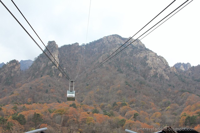 [IMG_1666%255B21%255D.jpg.webp]