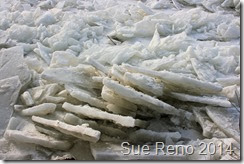 Ice on the Susquehanna River, 2/2014, by Sue Reno, Image 13