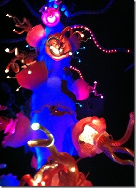 IMG_5817 IMG_5817