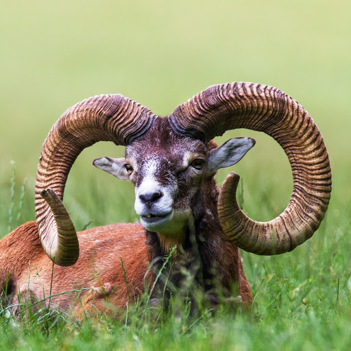 Hd-148655-ascw148655