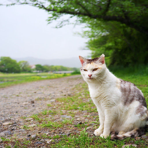 Hd-139532-ascw139532