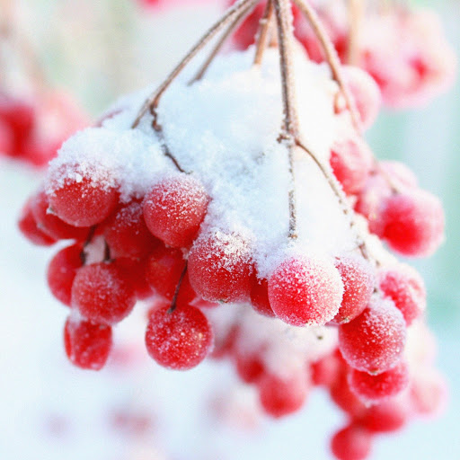 Hd-160670-ascw160670