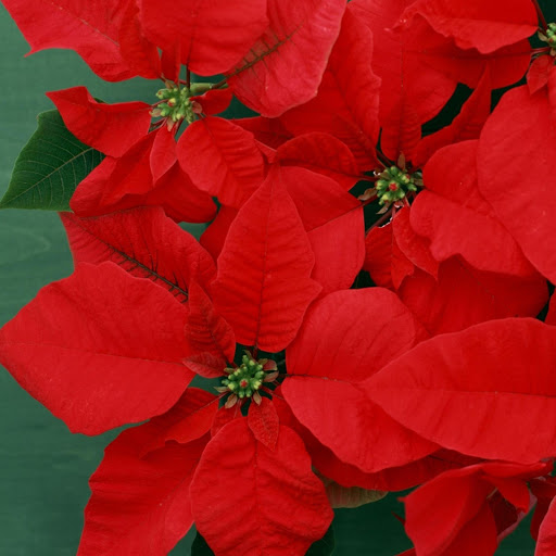 Hd-136816-ascw136816