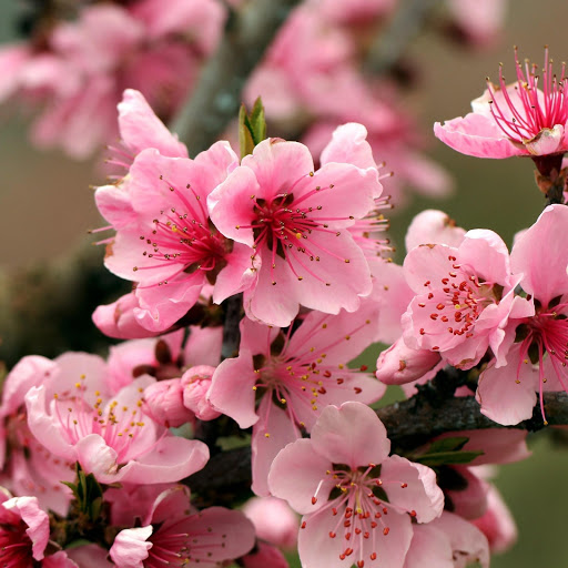 Hd-173828-ascw173828