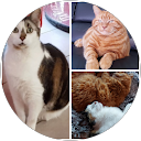 Image Google de Marielaure Jacquin