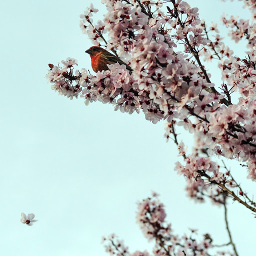 Hd-142028-ascw142028