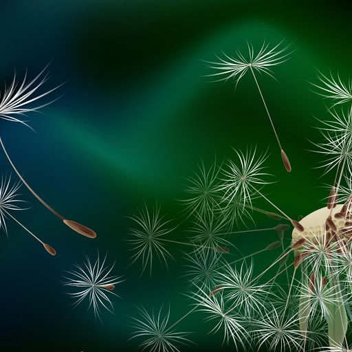 Hd-147826-ascw147826