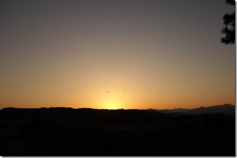 r-DSC02280 r-DSC02280