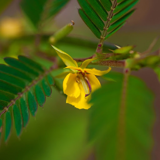 Hd-141579-ascw141579