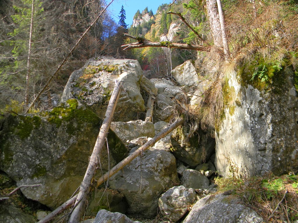 [DSCN75683.jpg]