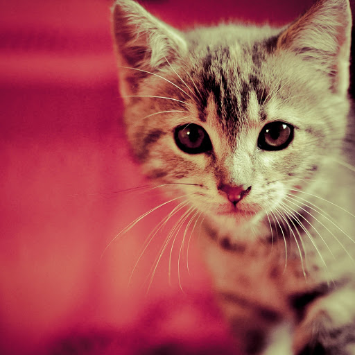 Hd-158226-ascw158226