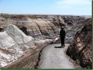 Painted Desert & Petrified Forest 169
