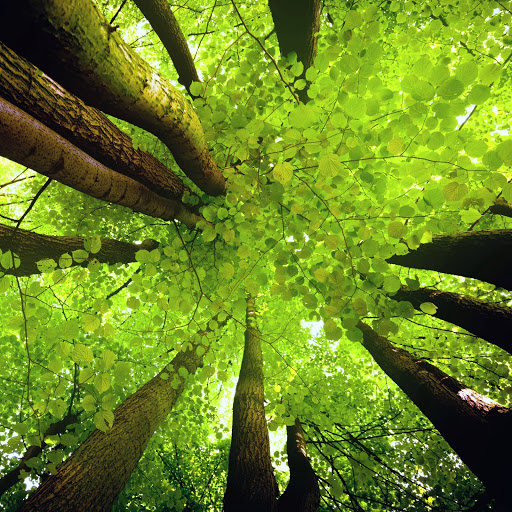 Hd-164557-ascw164557