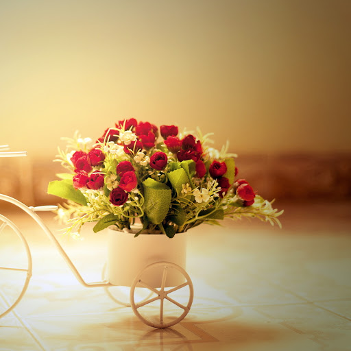 Hd-171070-ascw171070