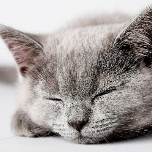 Hd-174433-ascw174433