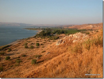 Kursi cliff view to north, tb102602013