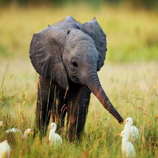 Hd-169616-ascw169616