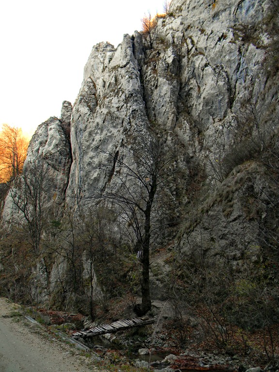 [DSCN14424.jpg]