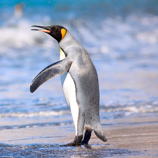 Hd-157655-ascw157655