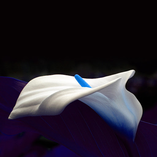 Hd-163636-ascw163636