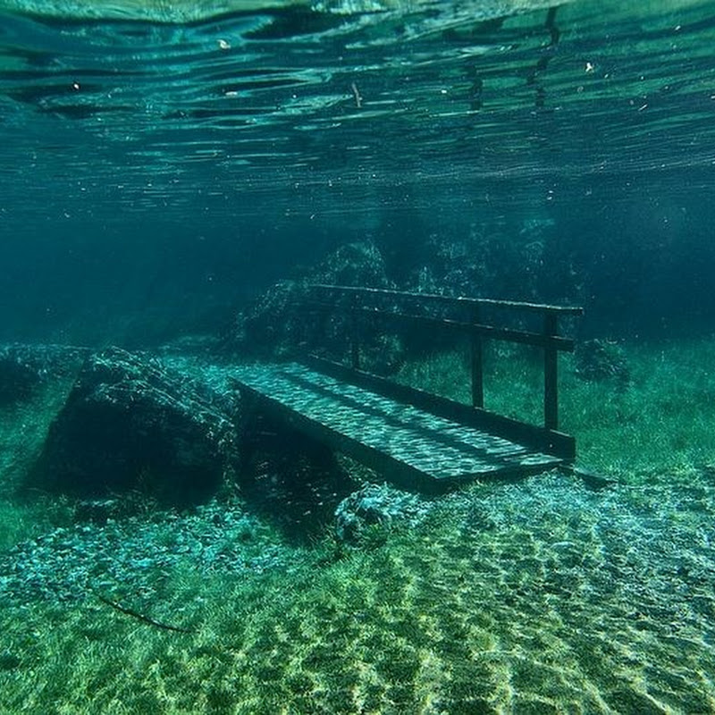 Gruner See : Keindahan Taman Bawah Laut
