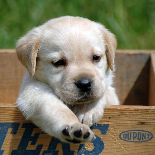 Hd-185609-ascw185609