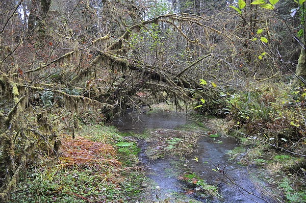 DSC_4760.JPG DSC_4760.JPG