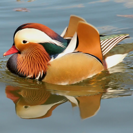 Hd-147813-ascw147813