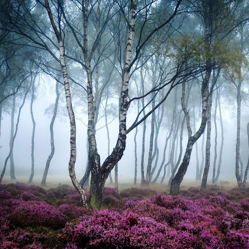 Hd-164314-ascw164314