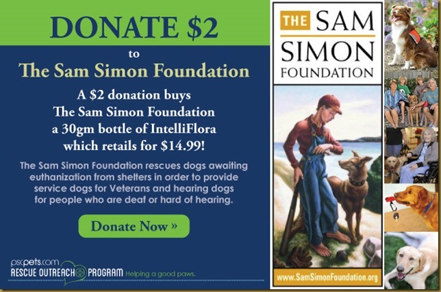[Sam-Simon-Foundation-donate-now2_thumb%255B1%255D.jpg]