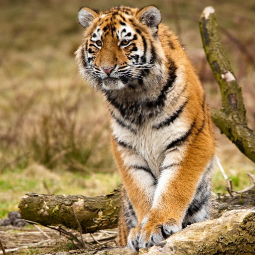 Hd-157420-ascw157420