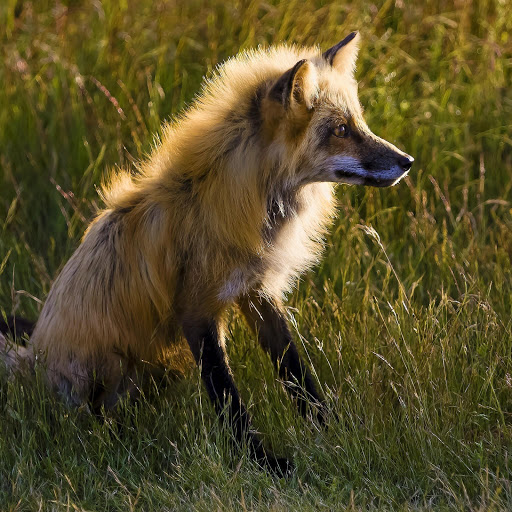 Hd-147199-ascw147199