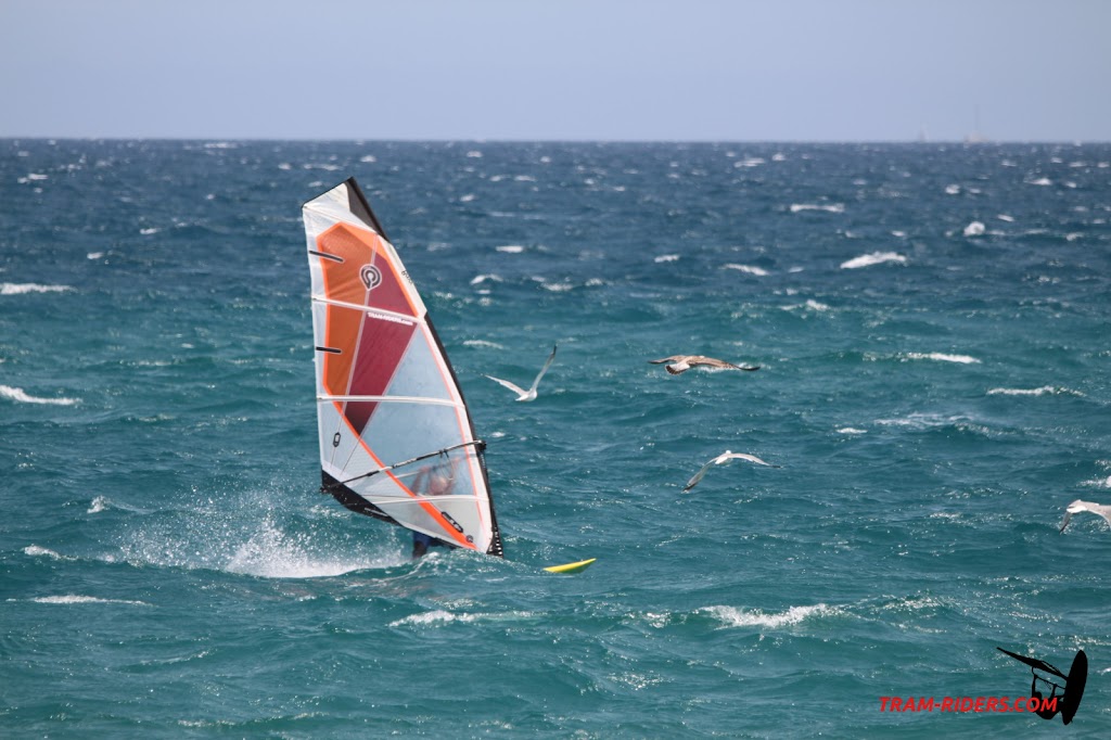 20140809_argeles_009.JPG