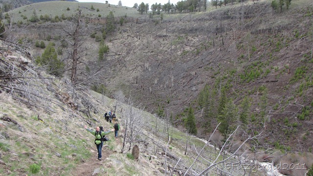 [ColumnarBasalt%2520CliffsAlongBlack%2520TailCreek%255B9%255D.jpg]