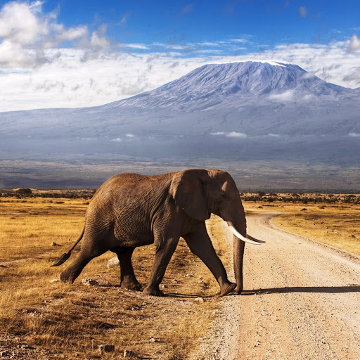 Hd-152699-ascw152699