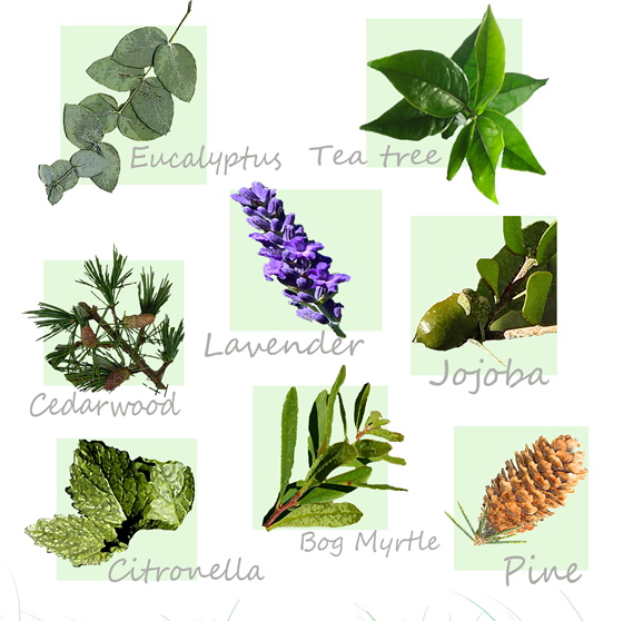 [image%255B16%255D.png.webp]