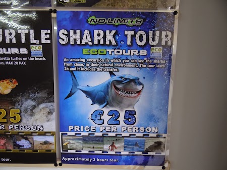 09. Shark Tour - Sal, Cape Verde.JPG
