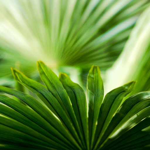 Hd-139643-ascw139643