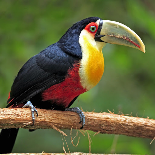 Hd-178199-ascw178199